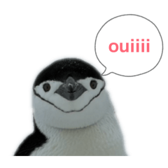 atasusanto_20251222111102