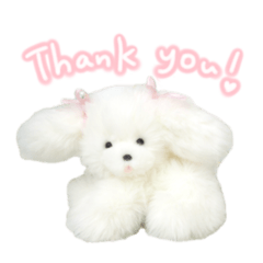 otome to okaka_20251222123120