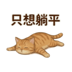 厭世橘貓：我就爛的日常