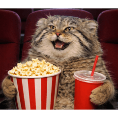 KATO PAINTER_20251222115742