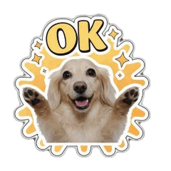 可愛臘腸阿嘟的問候