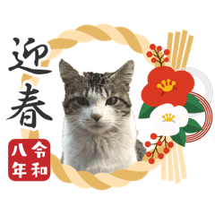 Happy New Year Hanachan