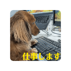 achico_20251224123804