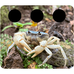 nakkaa_20251222130612