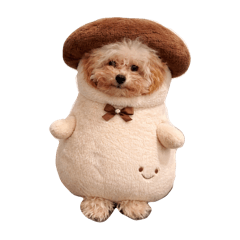 tenpura_20251224125630