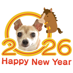 I love chihuahua 2026