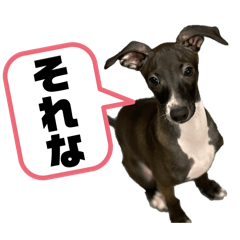 eclair0711_20251224133539