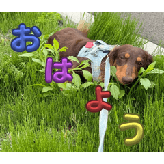 tokky_20251224135223