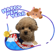 genta_20251224135857