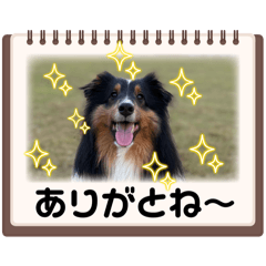 BANANA_20251224135654