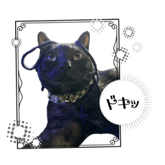 mochu_20251224141308