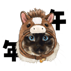 mikizone_20251222202710