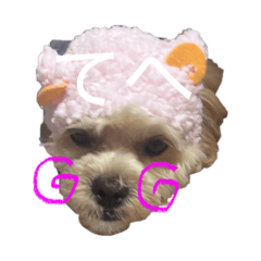 yokoyoko_20251222221654