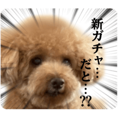 nemui_20251222222245