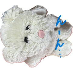 Piari_20251222233633