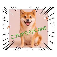 Best friend_20251224181247