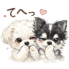 kaori_20251224174921