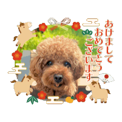 marina_20251224185708