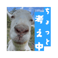 toriko_20251224171931