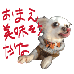 no my dogs no life 2