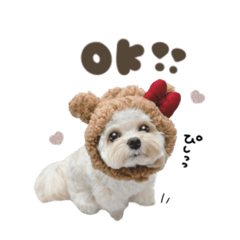 あめちゃん♡スタンダード