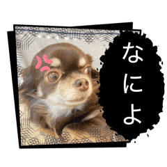 akiko_20251224163953