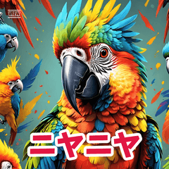 Kansai Budgie Reactions