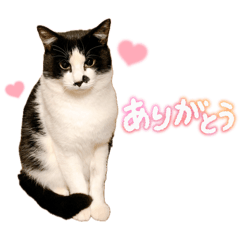Sonomi_20251224212250