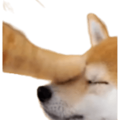 いらずら猫ミームセット