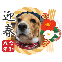 sachi_20251224165957