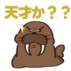 Walrus Sticker