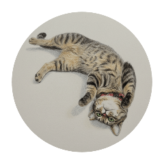 Haru's Sticker_20251223063508