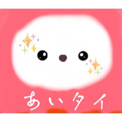 Satton_20251224165922