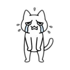 FunnyEveryday_20251224171142