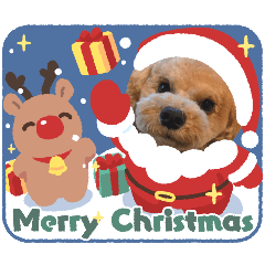 sachi_20251224172151