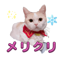 inari_20251224200422