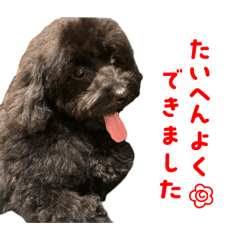 Tsubasa_20251224201033