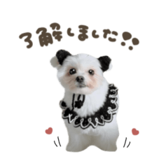 のぼるくん☆スタンダード