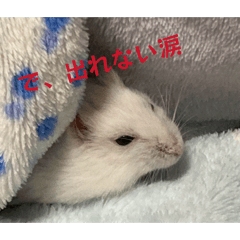 449510_20251224170527