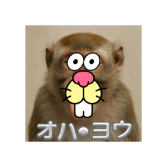 kabuto_20251224172625