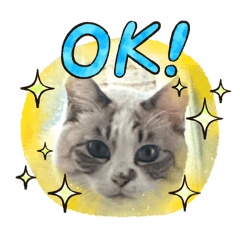 yoshi_20251224173912