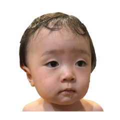 yamaco official_2025122417380