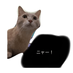 hiroro_20251224204259