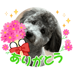 Kazuhiko Kanazawa_20251224223538