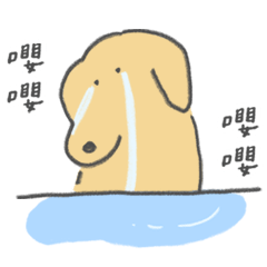 委屈巴巴的肉肉1