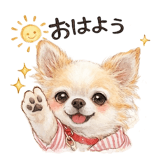 kaori_20251224182522