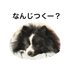 saori_20251224184021