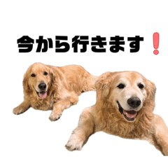 kotaro_20251224182755