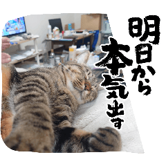 chiukichi_20251224183120