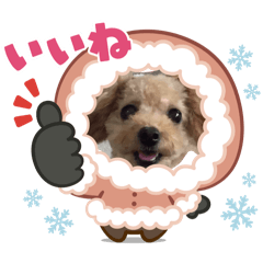 tomoko_20251224192119